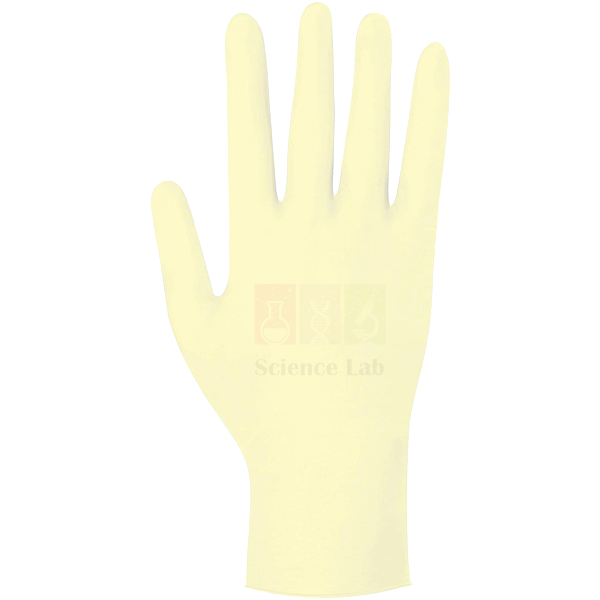 Gloves Exam Latex Without Powder